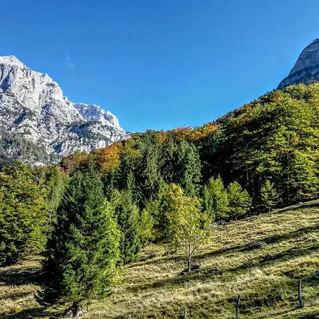 Dağ evi Kravanja Trenta