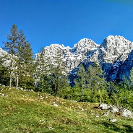 Kravanja