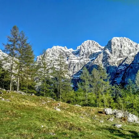Kravanja