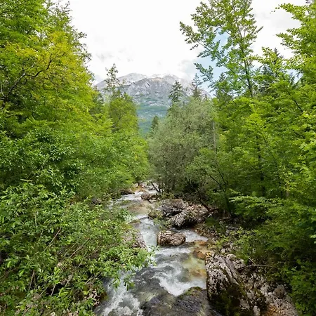 Kravanja *