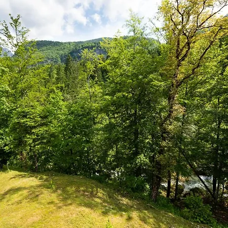 Kravanja Chalet *