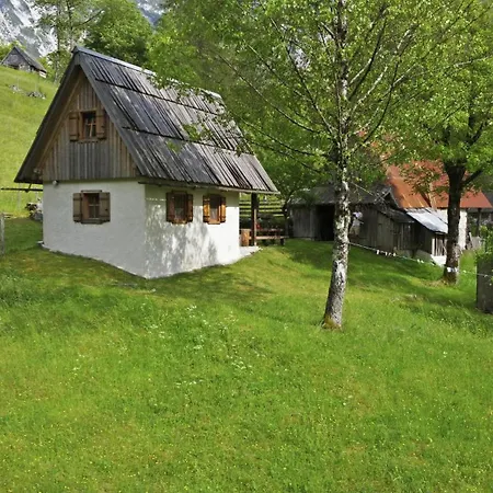 Kravanja Trenta