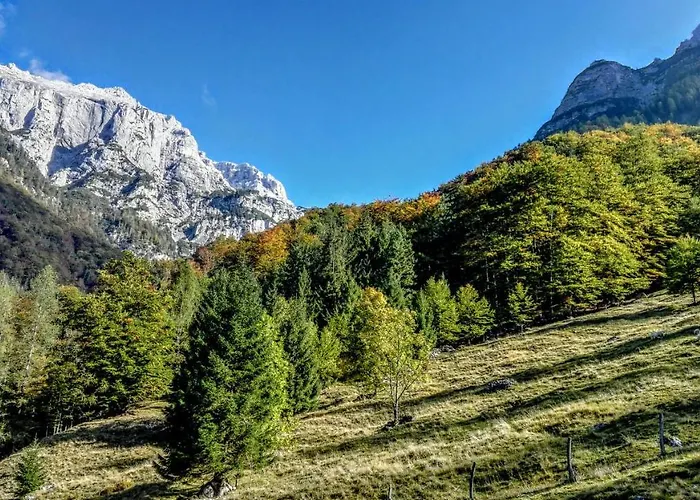 Chalet Kravanja Trenta