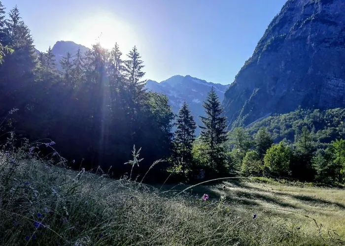 Kravanja Chalet Trenta